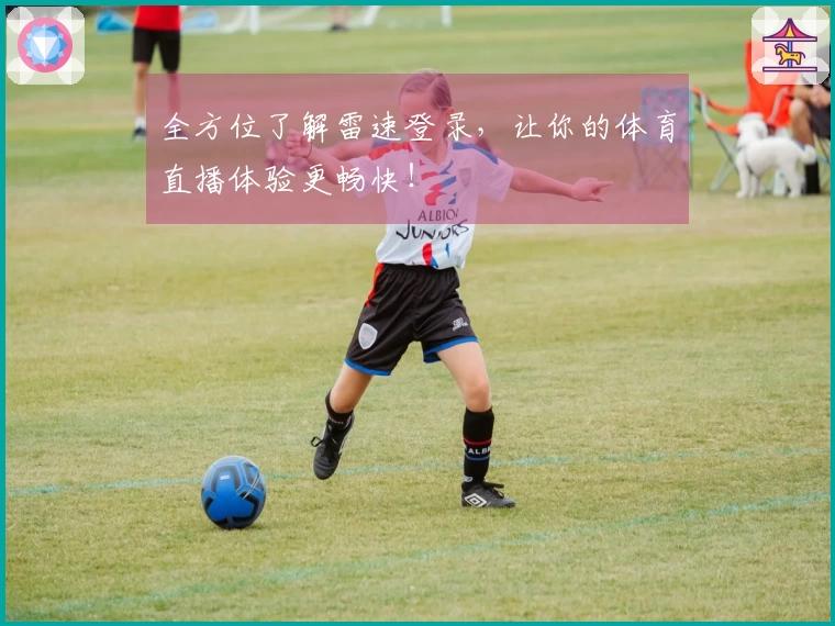 全方位了解雷速登录，让你的体育直播体验更畅快！